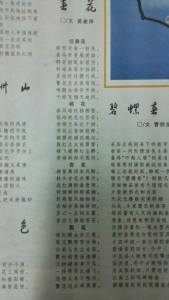 QQ图片20160311093530.jpg