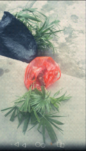 Screenshot_2016-02-11-21-09-55.png